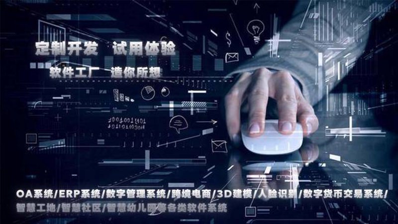 重庆软件开发:在变化中把握机遇